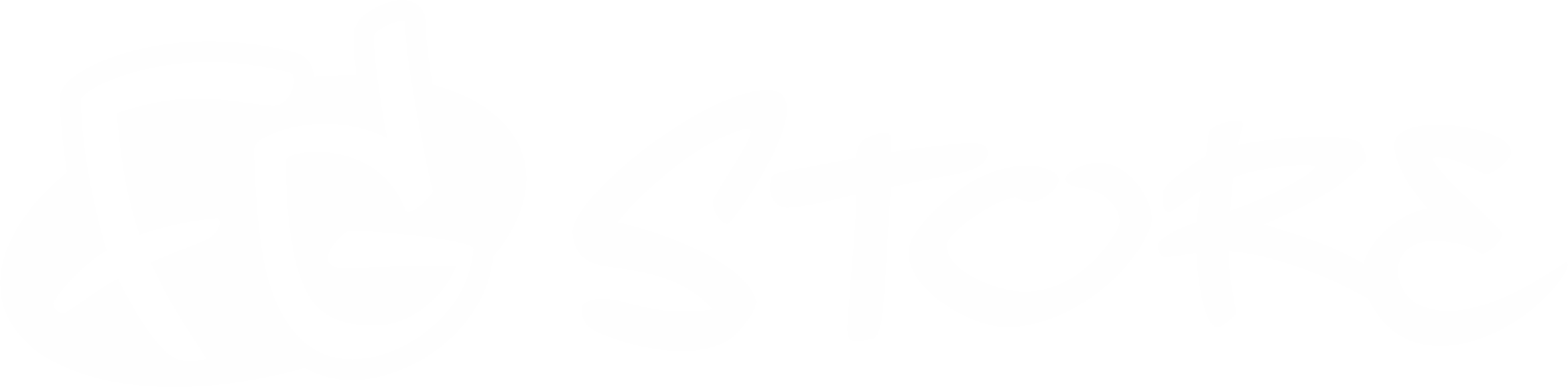 FG Store