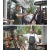Imagen de Asador Tromen Hummer