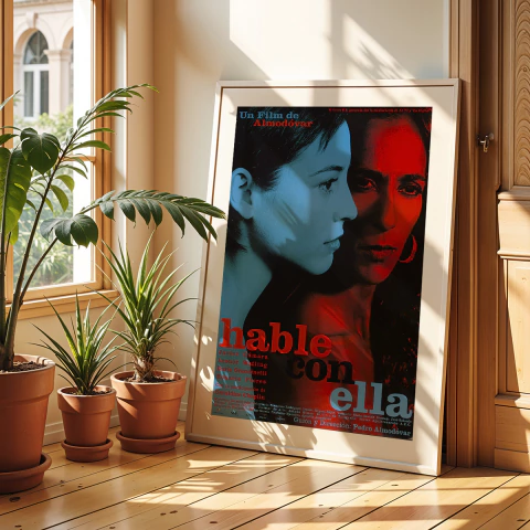 Cuadro Hable Con Ella - Pedro Almodovar - comprar online