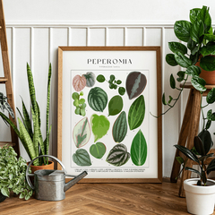 Cuadro Plantas 143