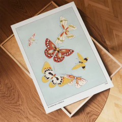 Lámina 0868 - Japón - comprar online