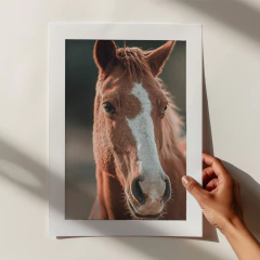 Lámina 3790 - Campo - comprar online
