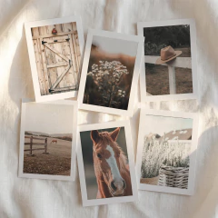 Set de 6 láminas #13 - Campo - comprar online