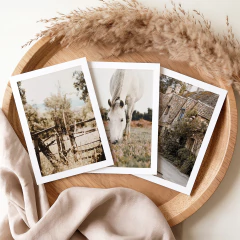 Set de 3 láminas #324 - Campo - comprar online