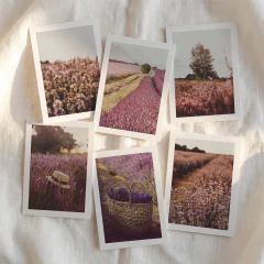 Set de 6 láminas #10 - Campo - comprar online