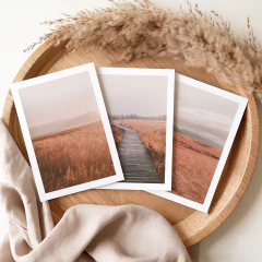 Set de 3 láminas #326 - Campo - comprar online
