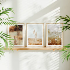 Set de 3 Cuadros - Campo 05 - comprar online