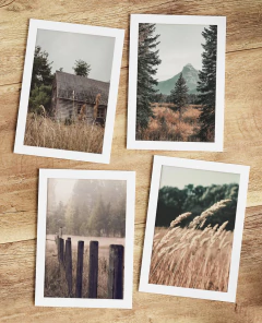Set de 4 láminas #5 - Campo - comprar online