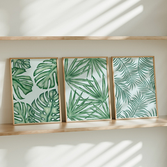 Set de 3 cuadros Plantas - 36/37/38