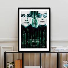 Cuadro Poster Matrix Reloaded