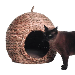 Casa Pet João de Barro na internet