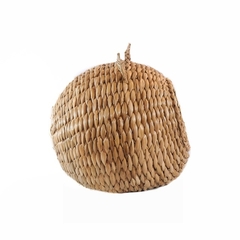 Casa Pet Bola na internet