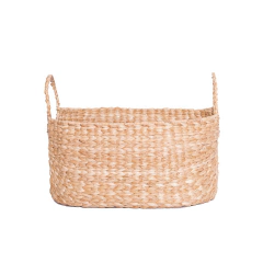 Cesto natureza na internet