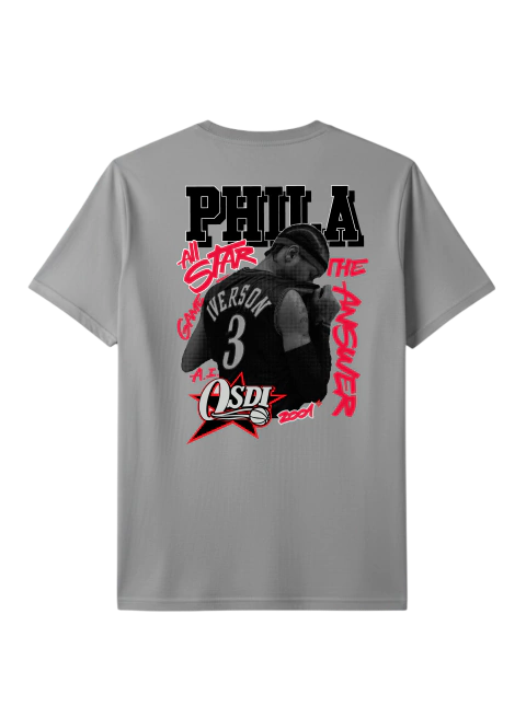 IVERSON GREY T-SHIRTS - buy online