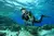 Detector de Metales PulseDive Scuba Pinpointerx Pin Pointer 2-in-1 Set