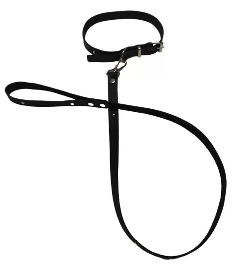 CORREA Y COLLAR CUERO R120133