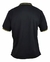 botafogo polo ouro