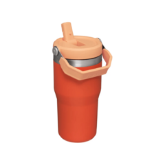 Botella Flip Straw Tiger Naranja 20 Oz Stanley - comprar online