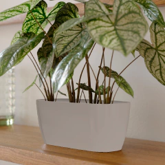 Maceta Macchia arena 32 cm granitic Gemplast en internet