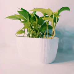 Maceta Mesola crema 26 cm granitic Gemplast - Bazar Colucci