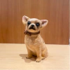Perrito chihahua felpa
