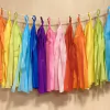 Guirnalda de borlas arcoiris