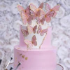 Set x12 mariposas con pinche
