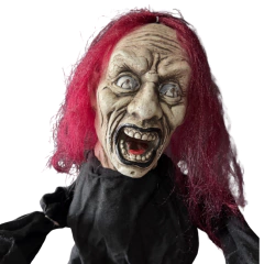 Brujita loca en internet