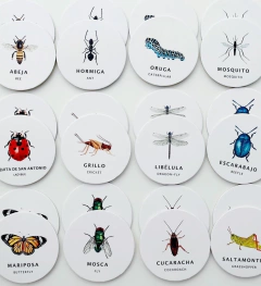 Juego de memoria Insectos en internet