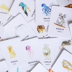 Flash Cards Fauna en internet