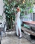 Saia de Linho Linen - comprar online