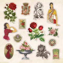 Libro de Stickers: Curiosidades - comprar online