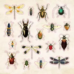 Libro de Stickers: Curiosidades - comprar online
