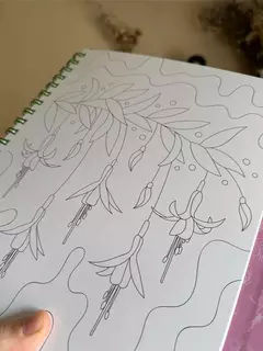 Libro para colorear Entre Ríos y Humedales - Monimonos - Tienda Diseñarte