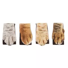 Marcapáginas magnético patita de gato - Kikkerland - comprar online