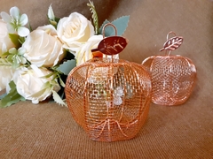 Manzanita Rose Gold Bronce SOUVENIR