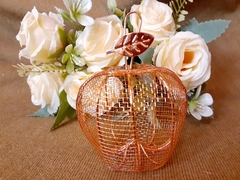 Manzanita Rose Gold Bronce SOUVENIR - comprar online