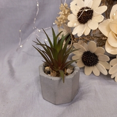 plantita con maceta de cemento - tienda online