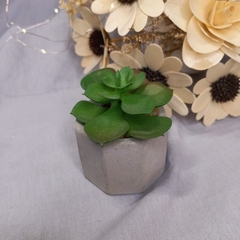 plantita con maceta de cemento en internet