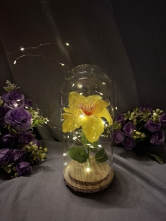 cupula 20 cm flor rapunzel - Somos tu Evento