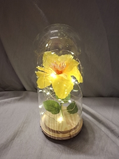 cupula 20 cm flor rapunzel en internet
