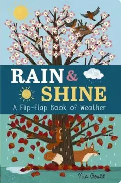 Rain & Shine: A flip-flap book of weather
