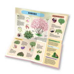 Learning about the garden with sleeping beauty - comprar online