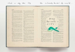 The dictionary story - comprar online