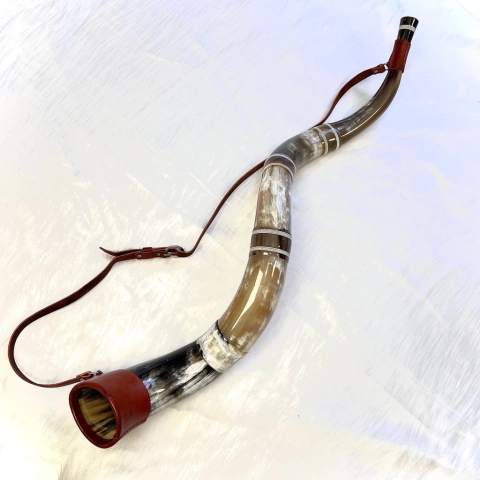 Berrante BJS - REF 805