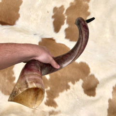 Shofar - 85 cm - comprar online