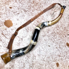 Berrante profissional - REF 713 na internet