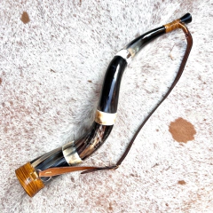 Berrante Agrizzi - REF 822 na internet