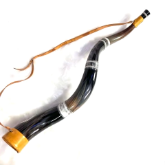 Berrante BJS - REF 876 - buy online