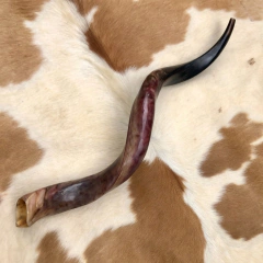 Shofar - 100cm - ( COM BOCAL DE BERRANTE - online store